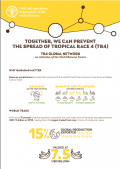 Juntos podemos prevenir la propagación de la Raza 4 tropical (R4T)